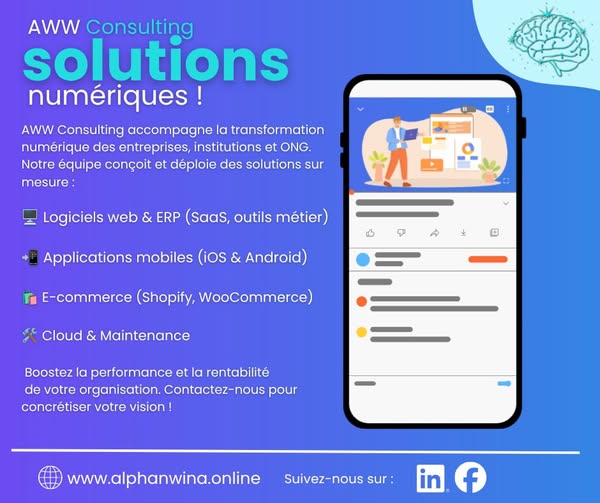 Comment obtenir un site web professionnel et complet pour seulement 100 $ ?